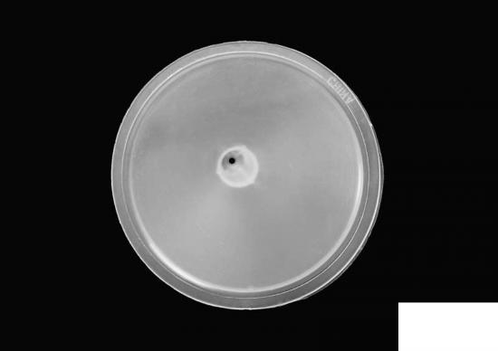 Hydraulic Oil Funnel RC4WD &mdash; image 2 of 5
