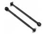 Associated CVA Bone B5/B5M