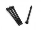 Cap Head Screw M3x43mm (4)