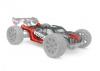 Vorza Truggy Flux RTR Painted VB-2 Body