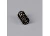 Force As1220 Barrel Stop Screw Spring