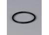 Force L009 Back Plate O Ring