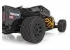 Team Associated Pro2 RT10SW Hot Rod RTR