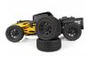 Team Associated Pro2 RT10SW Hot Rod RTR