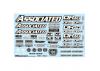 Team Associated DR10 Decal Sheet