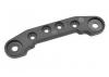 Corally Hinge Pin Screw Plate Composite 1 PC