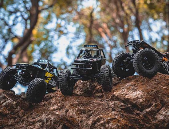 FMS FCX24 Lemur - RTR