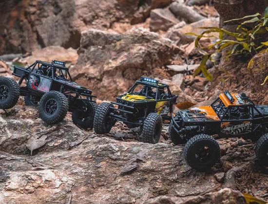 FMS FCX24 Lemur - RTR