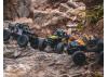 FMS FCX24 Lemur - RTR