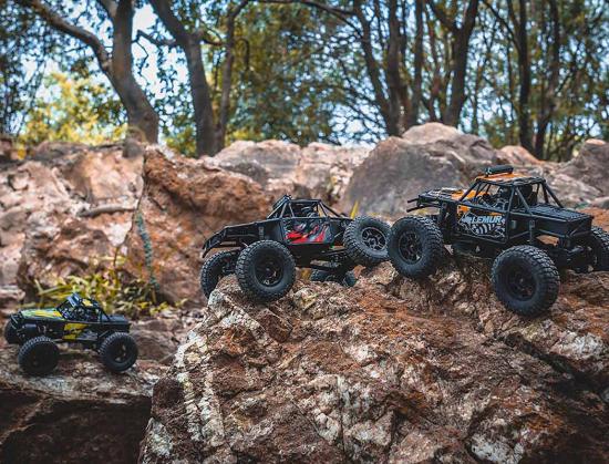 FMS FCX24 Lemur - RTR