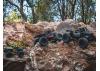 FMS FCX24 Lemur - RTR