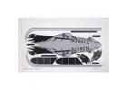 FMS 1300mm Pa-18 Sticker
