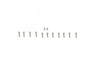 FMS 70mm Viper 15Th Anniv. Screws Set