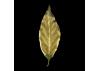 Guild Lane GILD Acrylic Gilding Enamel Paint, Gold (250ml Tin)