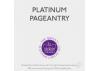 Guild Lane Jubilee Maker Paint (CC-22), Platinum Pageantry (60ml)