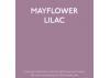 Guild Lane Jubilee Maker Paint (CC-22), Mayflower Lilac (250ml)