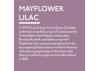 Guild Lane Jubilee Maker Paint (CC-22), Mayflower Lilac (250ml)