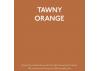 Guild Lane Jubilee Maker Paint (CC-22), Tawny Orange (250ml)