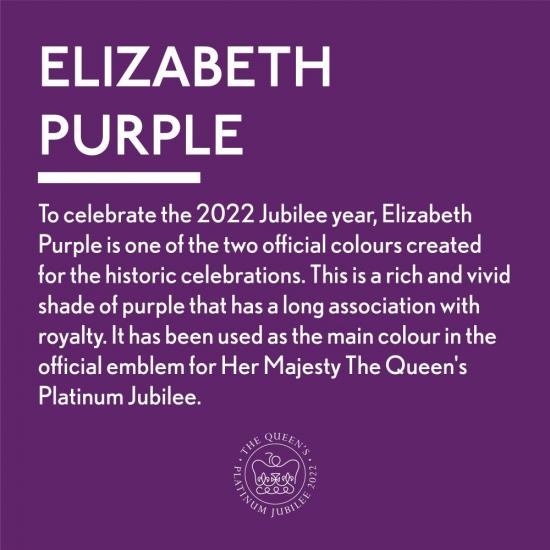 Guild Lane Jubilee Maker Paint (CC-22), Elizabeth Purple (250ml)