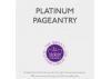 Guild Lane Jubilee Maker Paint (CC-22), Platinum Pageantry (250ml)