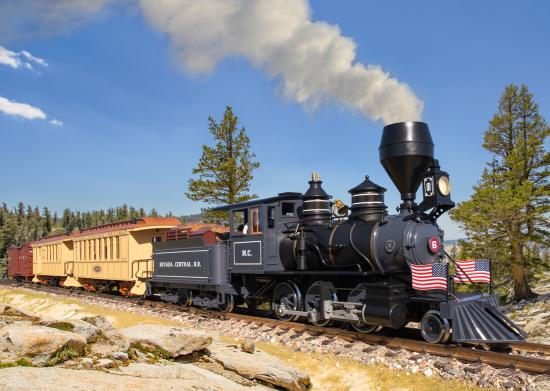LGB NC RR Mogul Steam Locomotive