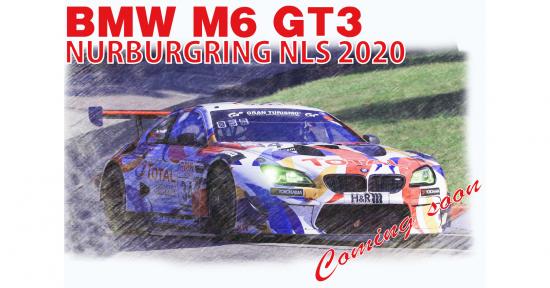 BMW M6 Gt3 2020 Nls Winner