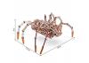 Wood Trick Space Spider