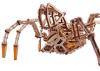 Wood Trick Space Spider