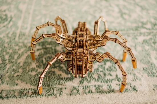 Wood Trick Space Spider