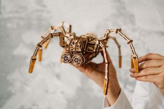 Wood Trick Space Spider