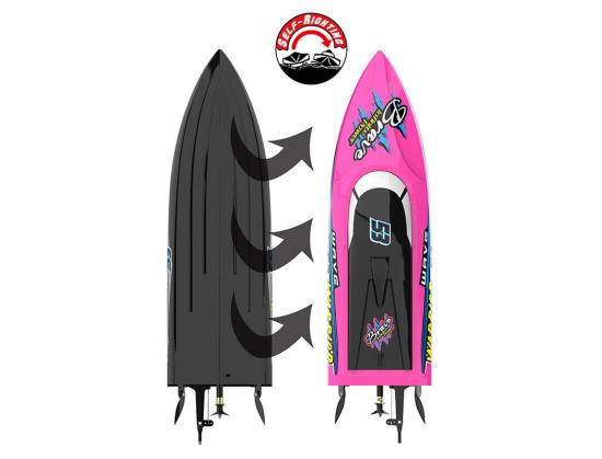 Joysway Warrior V4 RTR