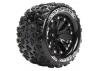 Louise RC MT-Spider 1:10 Soft 1/2 Offset/Black Gp Jato 2WD