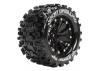 Louise RC MT-Uphill 1:10 Soft 0 Offset/Black Ep Stampede 2