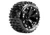 Louise RC ST-Pioneer 1:10 Sof T 0 Offset/Black Ep Stampede