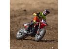 Losi 1:4 Promoto-MX RTR - Red