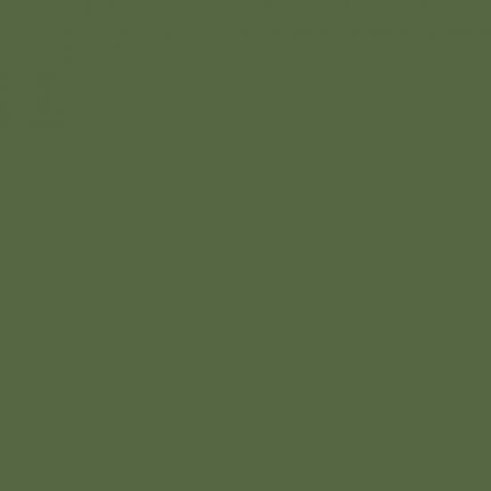 Mission Models Russian Dark Olive Faded 1 FS 34096, 1oz