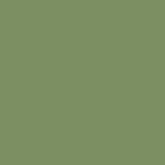 Mission Models RAF Interior Green, 1oz — image 3 of 4