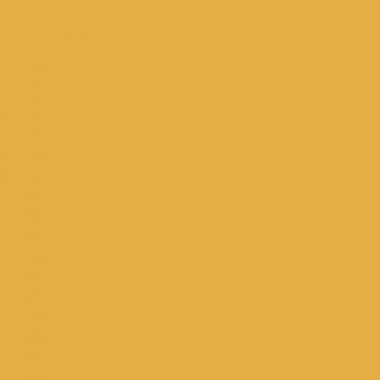 Mission Models New Construction Yellow 1990 to Present, 1oz