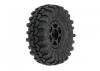 ProLine Interco Super Swamper TSL SX 1.0 on Black Holcomb Wheels - Fits Axial SCX24 (4)