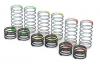 ProLine Spring Assortment For MAXX Powerstroke Shocks