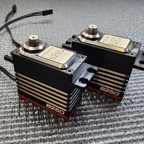 Highest B250 Servo 1:8 Buggy