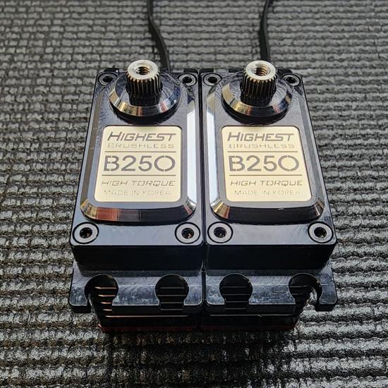 Highest B250 Servo 1:8 Buggy
