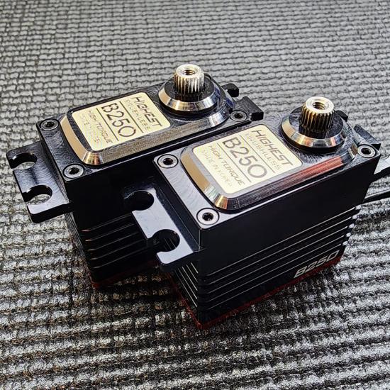 Highest B250 Servo 1:8 Buggy