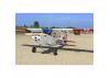 Seagull L-19A Bird Dog (Dead Eye) (60-80cc) 3.09m (122.0in)
