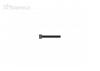 Sparko Cap Screw M2x28mm (10)