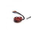 Brushless Main Motor - 4004-650Kv: Infusion 180