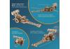 UGears Top Fuel Dragster ** CLEARANCE **