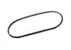XRay Low Friction Drive Belt Front 5.0 X 186 mm