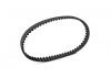 XRay Low Friction Drive Belt Rear 5.5 X 177 mm