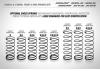 XRay Front Spring Set L=42mm - 1 Dot (2)